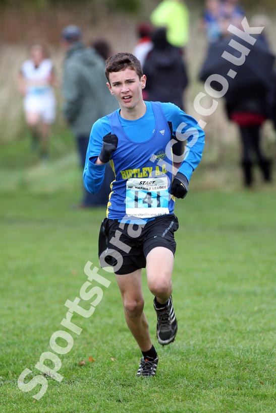 Blue 141, North East Harrier League, Sunderland